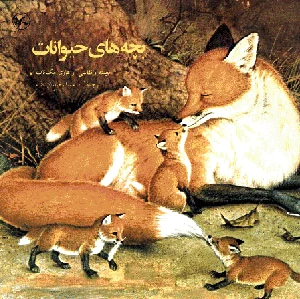 بچه های حیوانات