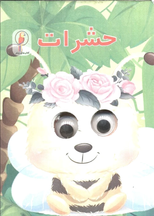 حشرات