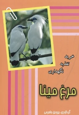 مرغ مینا