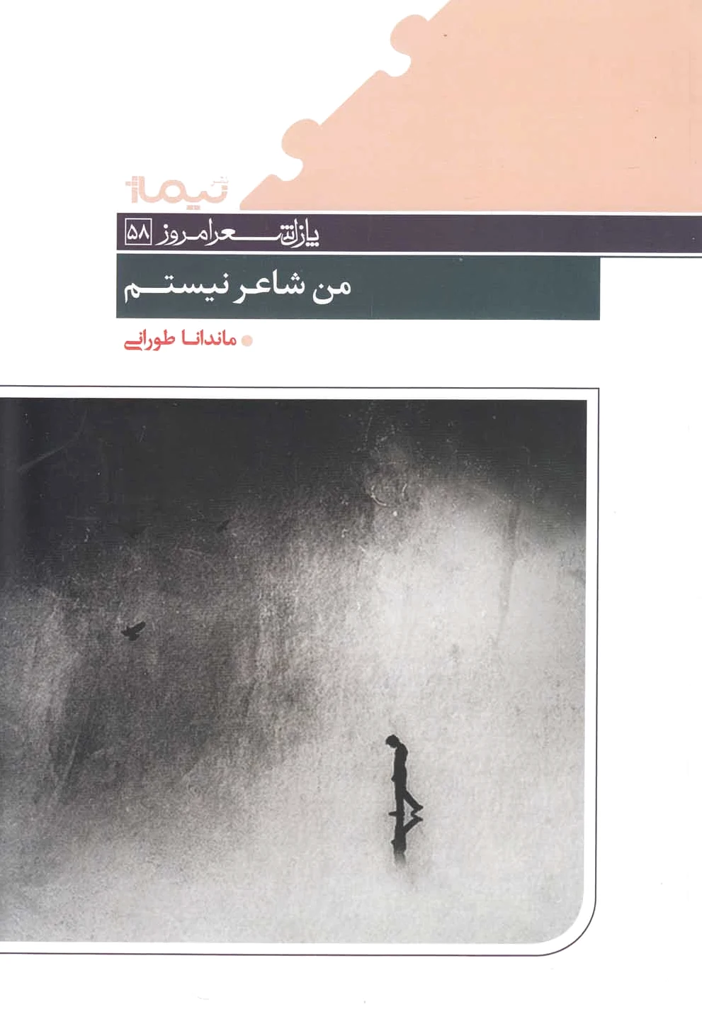 من شاعر نیستم