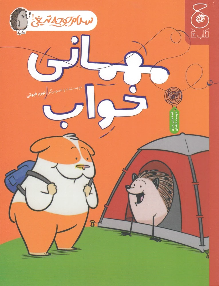 مهمانی خواب