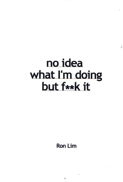 No Idea What I'm Doing But F**k It
