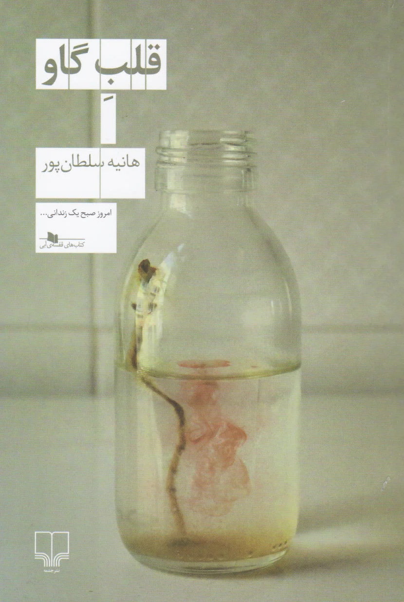 قلب گاو