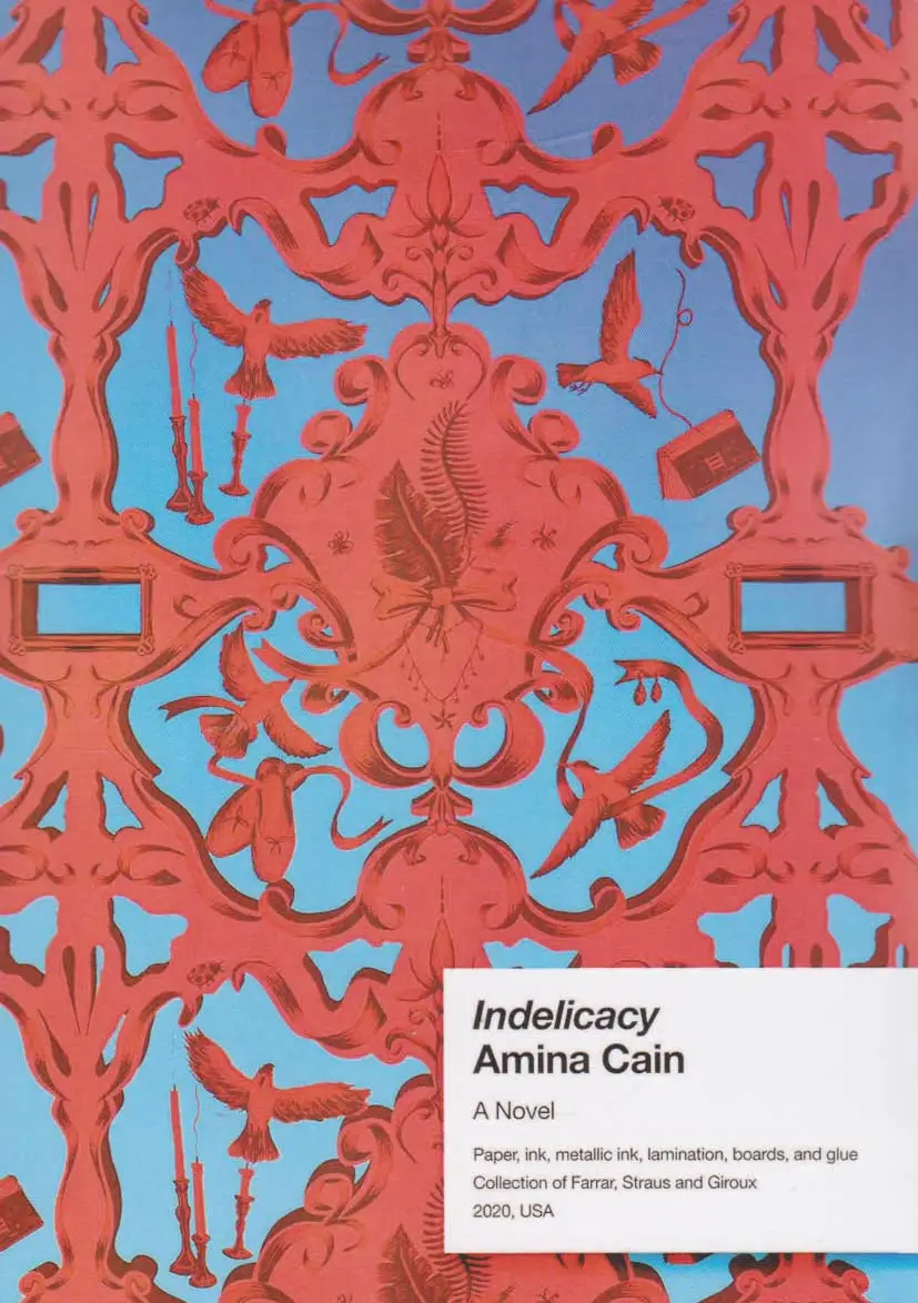 Indelicacy