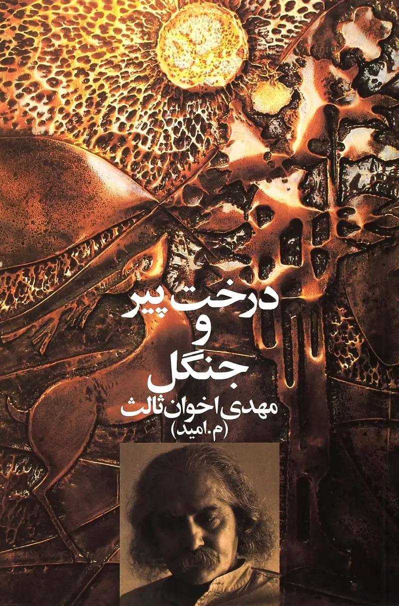 درخت پیر و جنگل