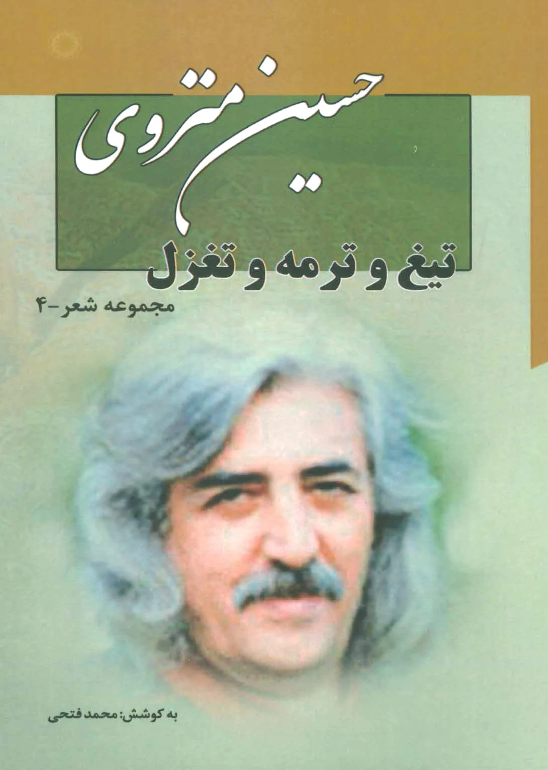 تیغ و ترمه و تغزل