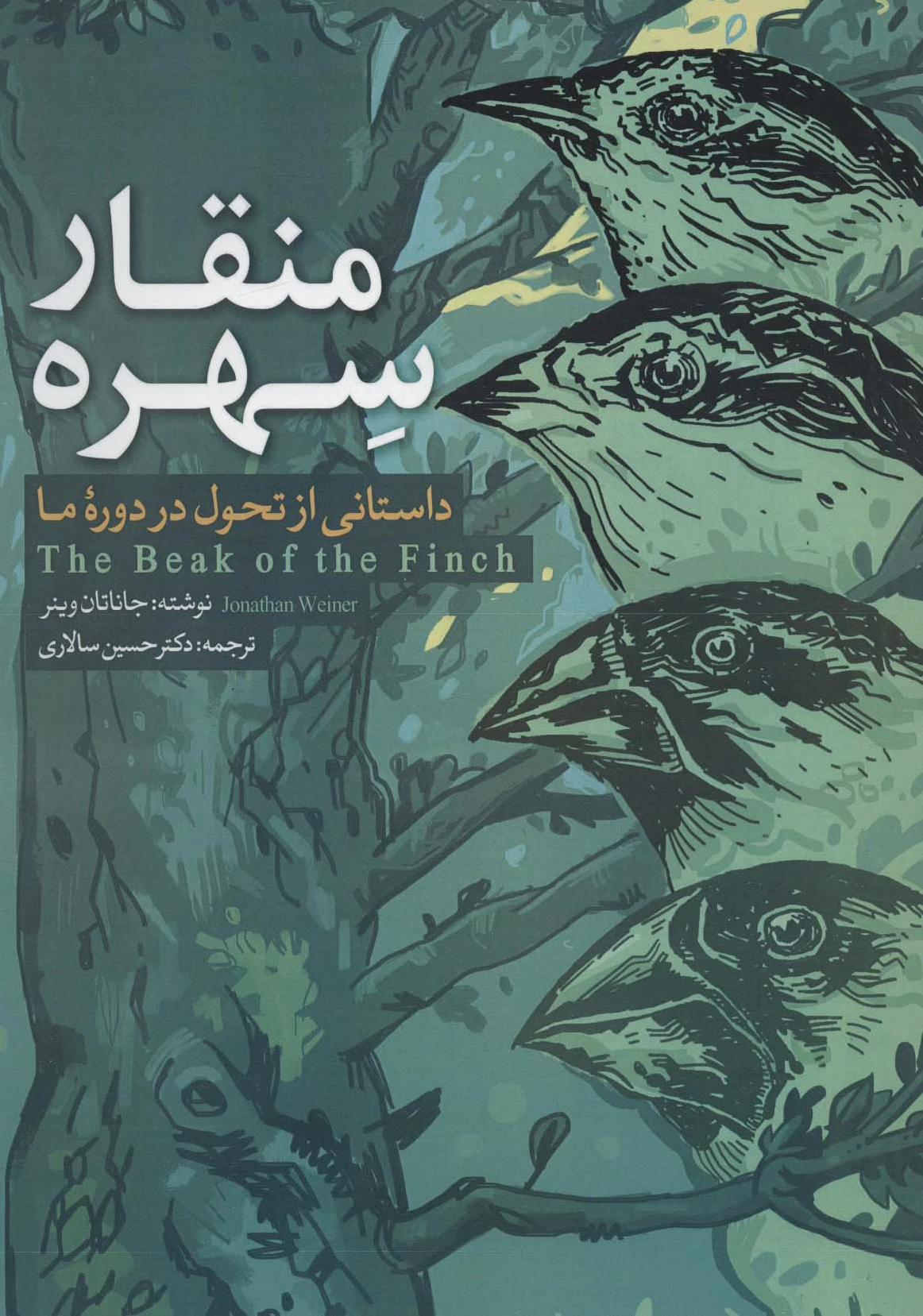 منقار سهره