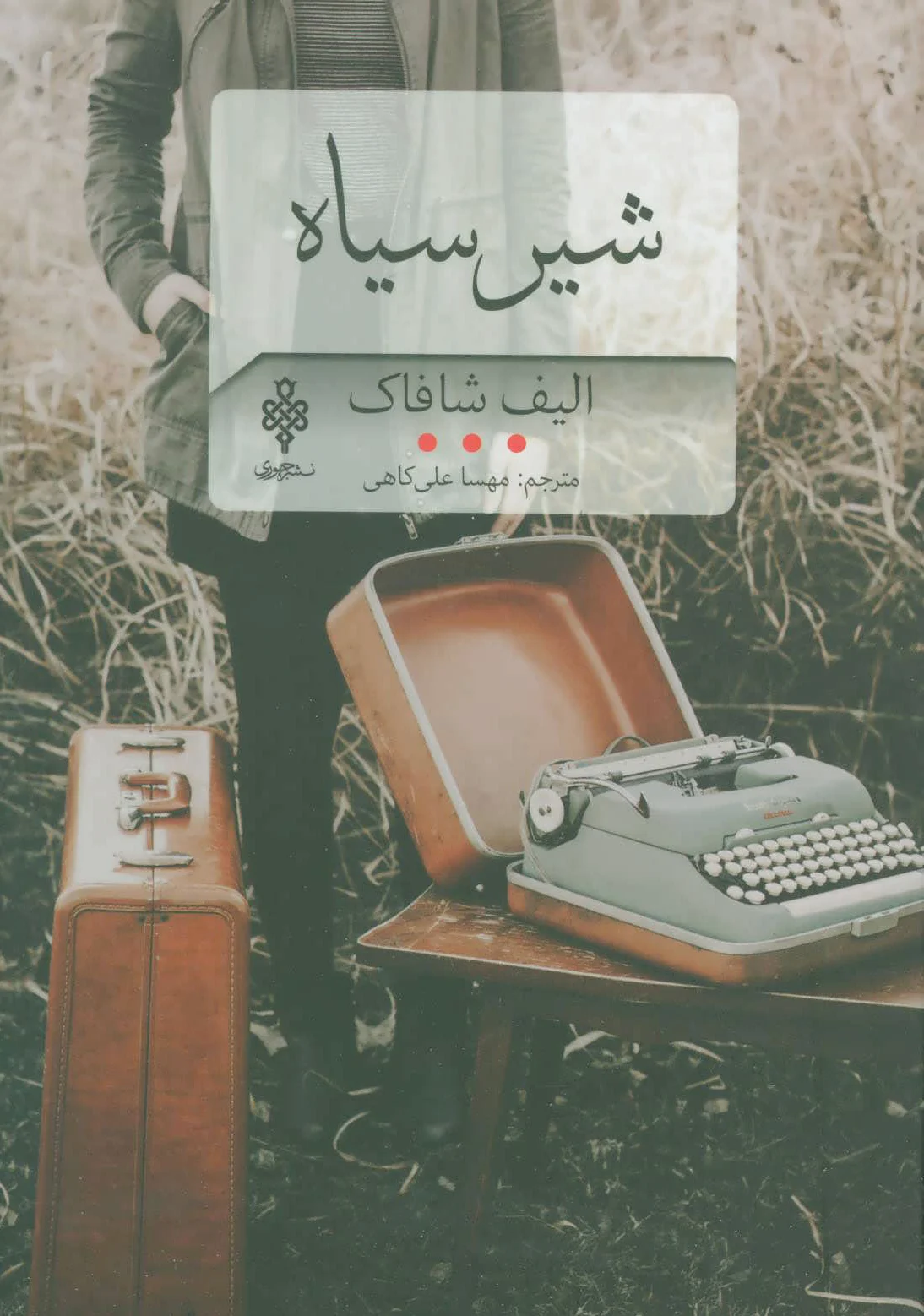 شیر سیاه