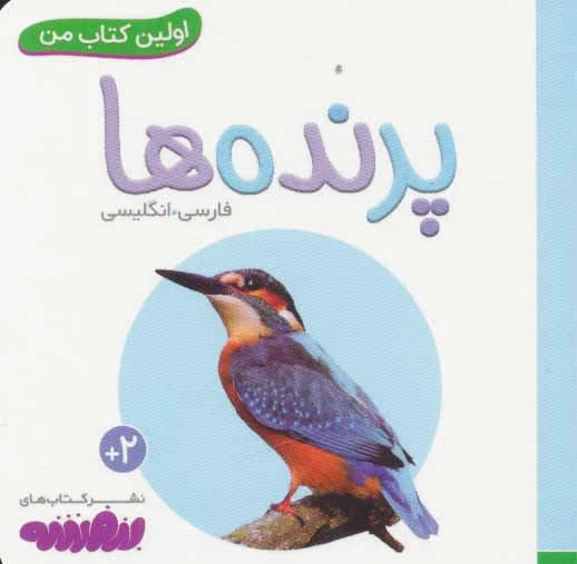 پرنده ها