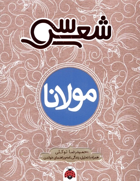 سی شعر : مولانا