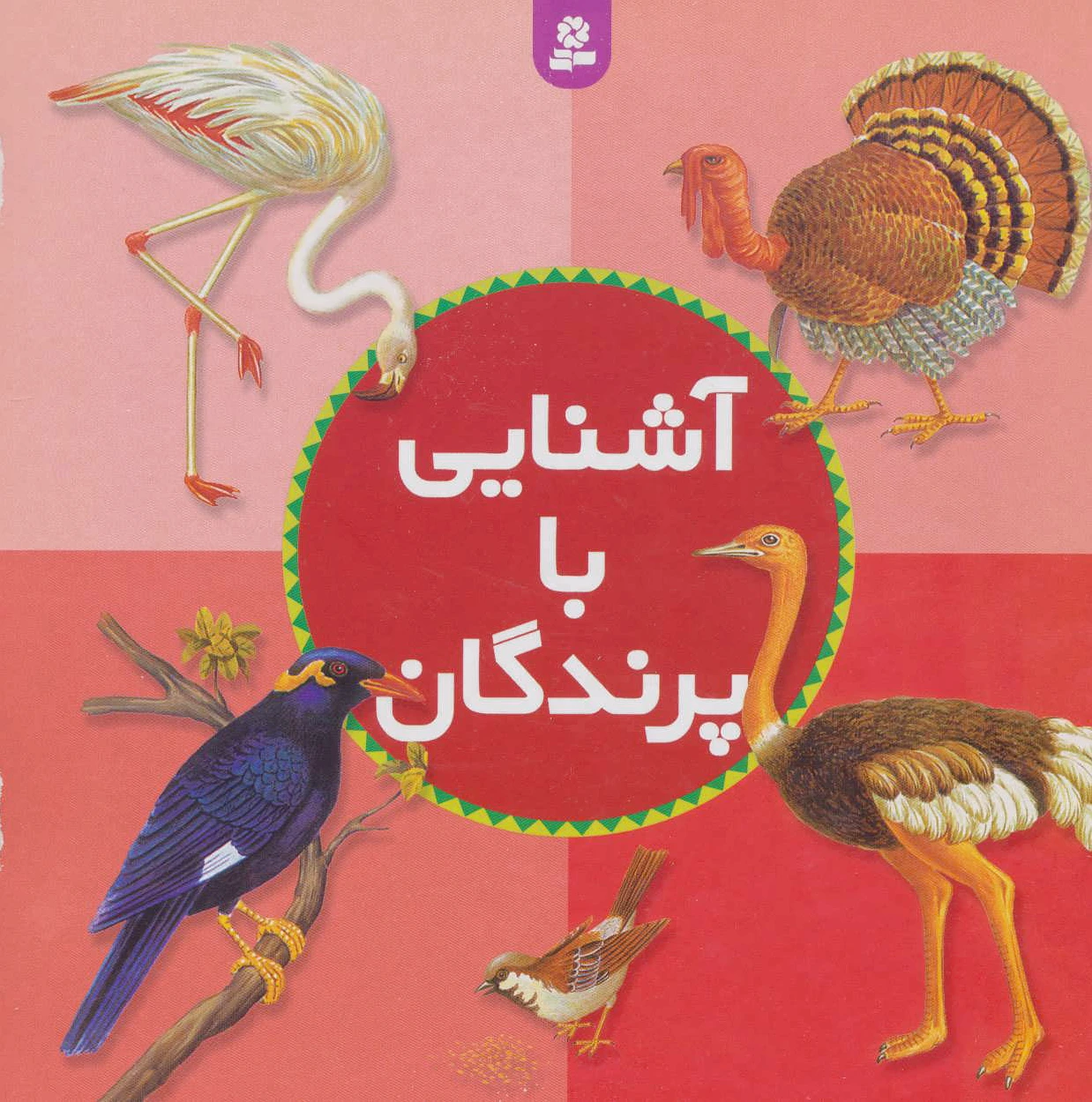 آشنایی با پرندگان