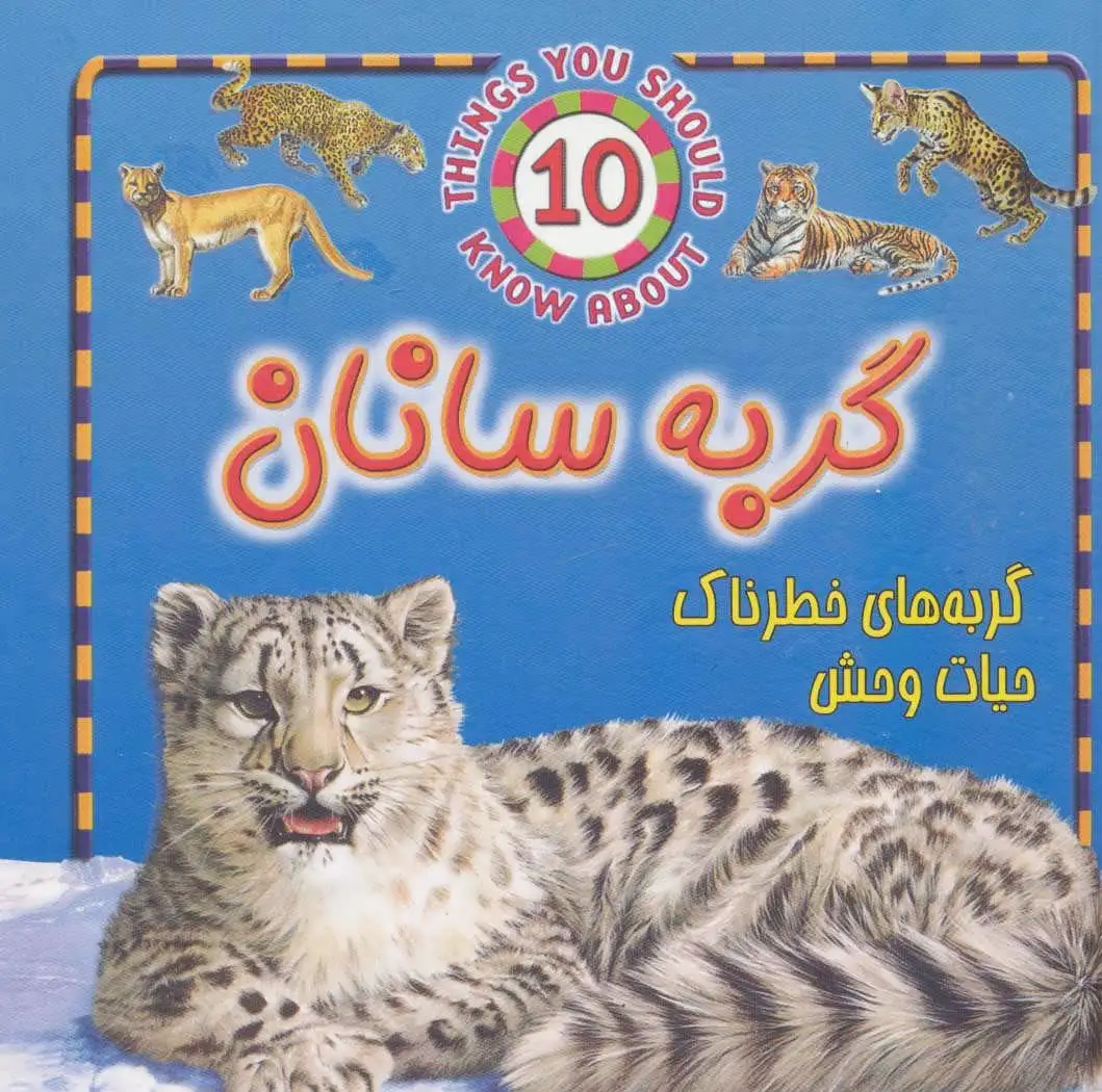 گربه سانان