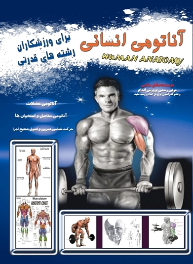 آناتومی انسانی