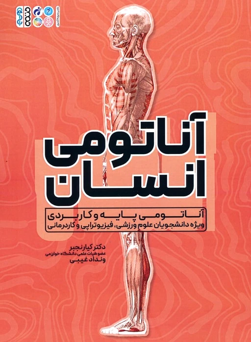 آناتومی انسان