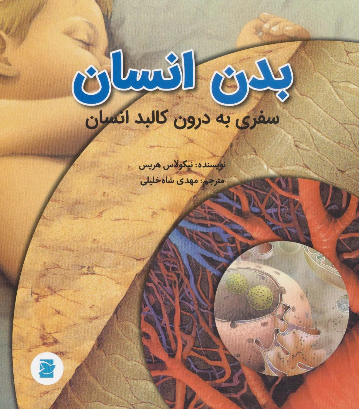 بدن انسان