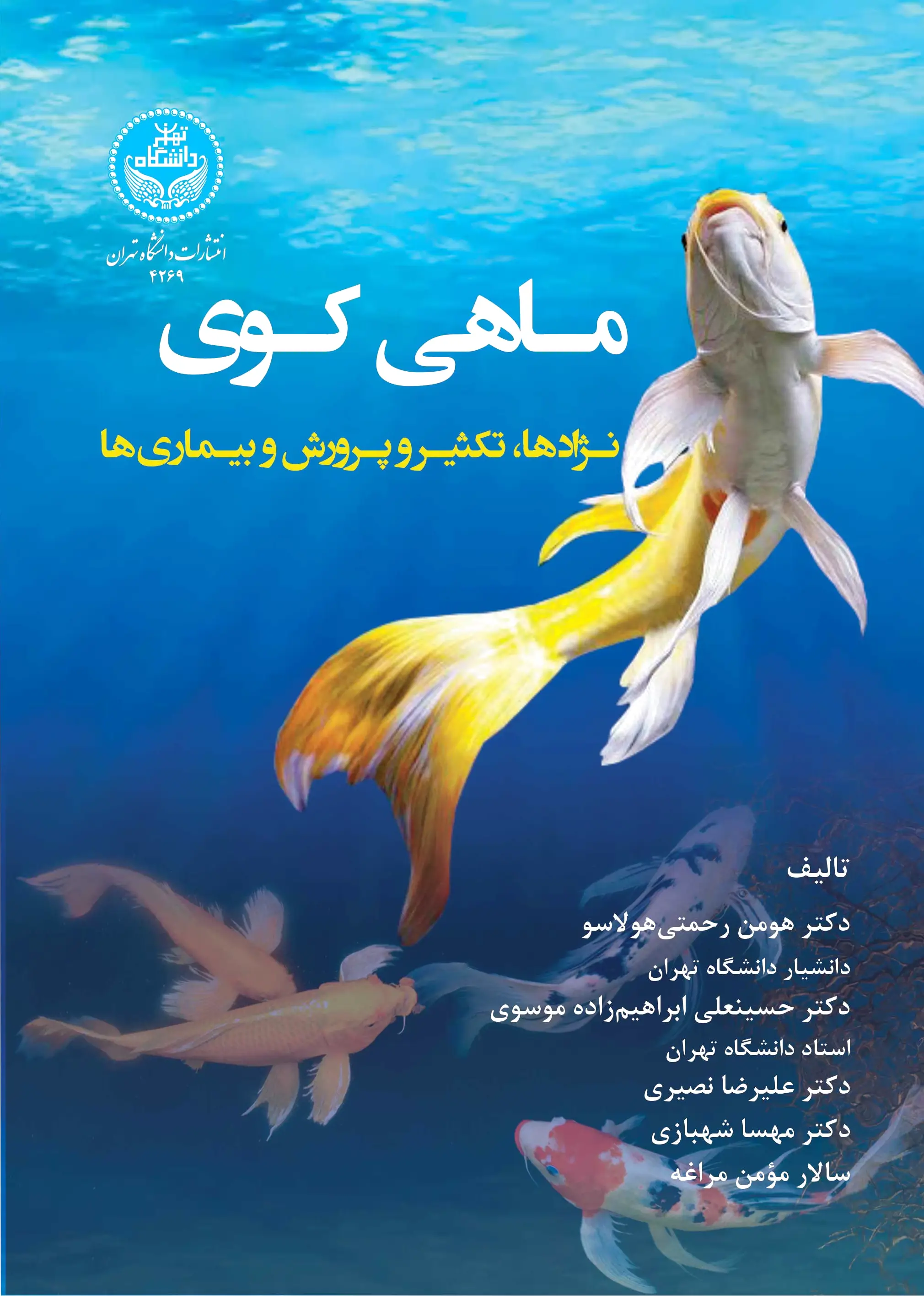 ماهی کوی