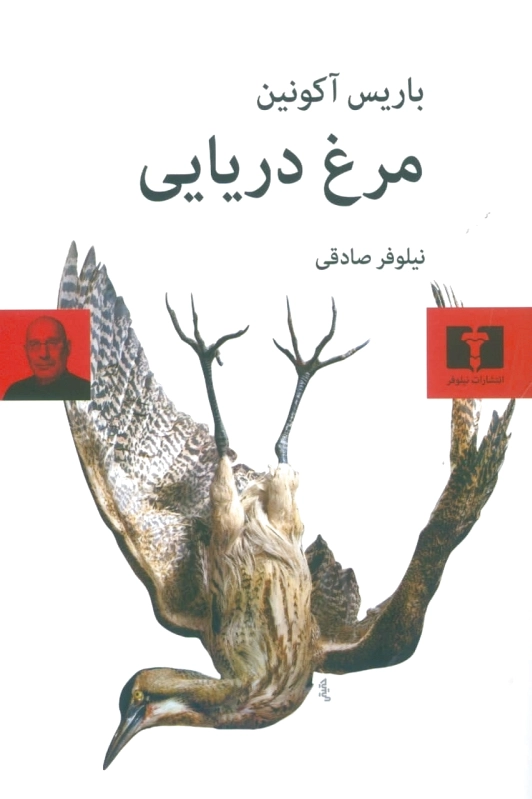 مرغ دریایی
