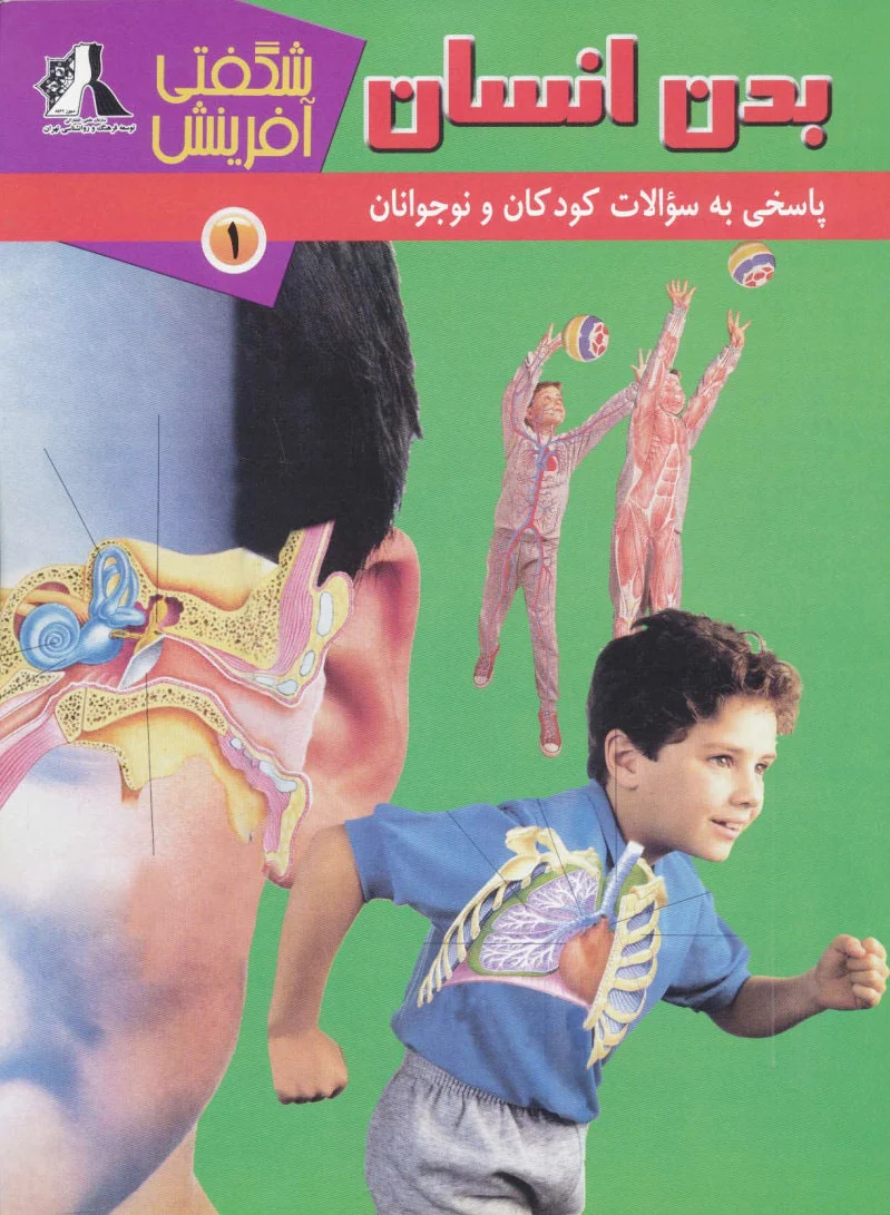 بدن انسان