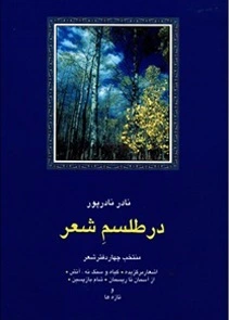 در طلسم شعر