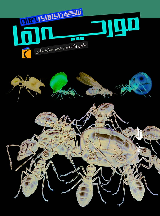 مورچه‌ها