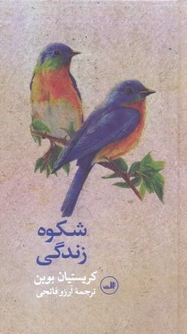 شکوه زندگی