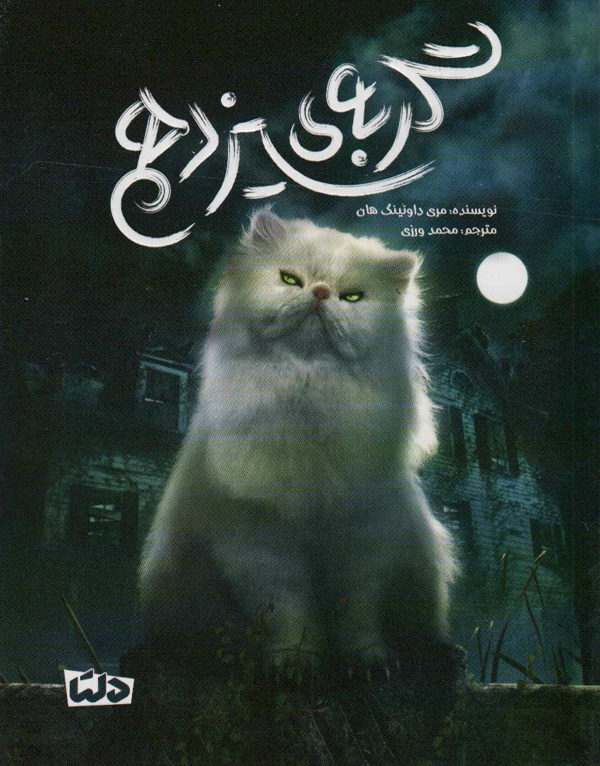 گربه ی سیزدهم