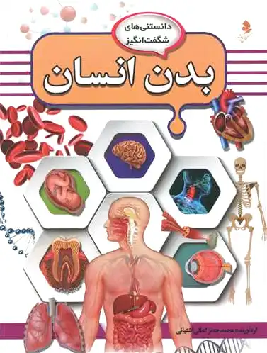 بدن انسان