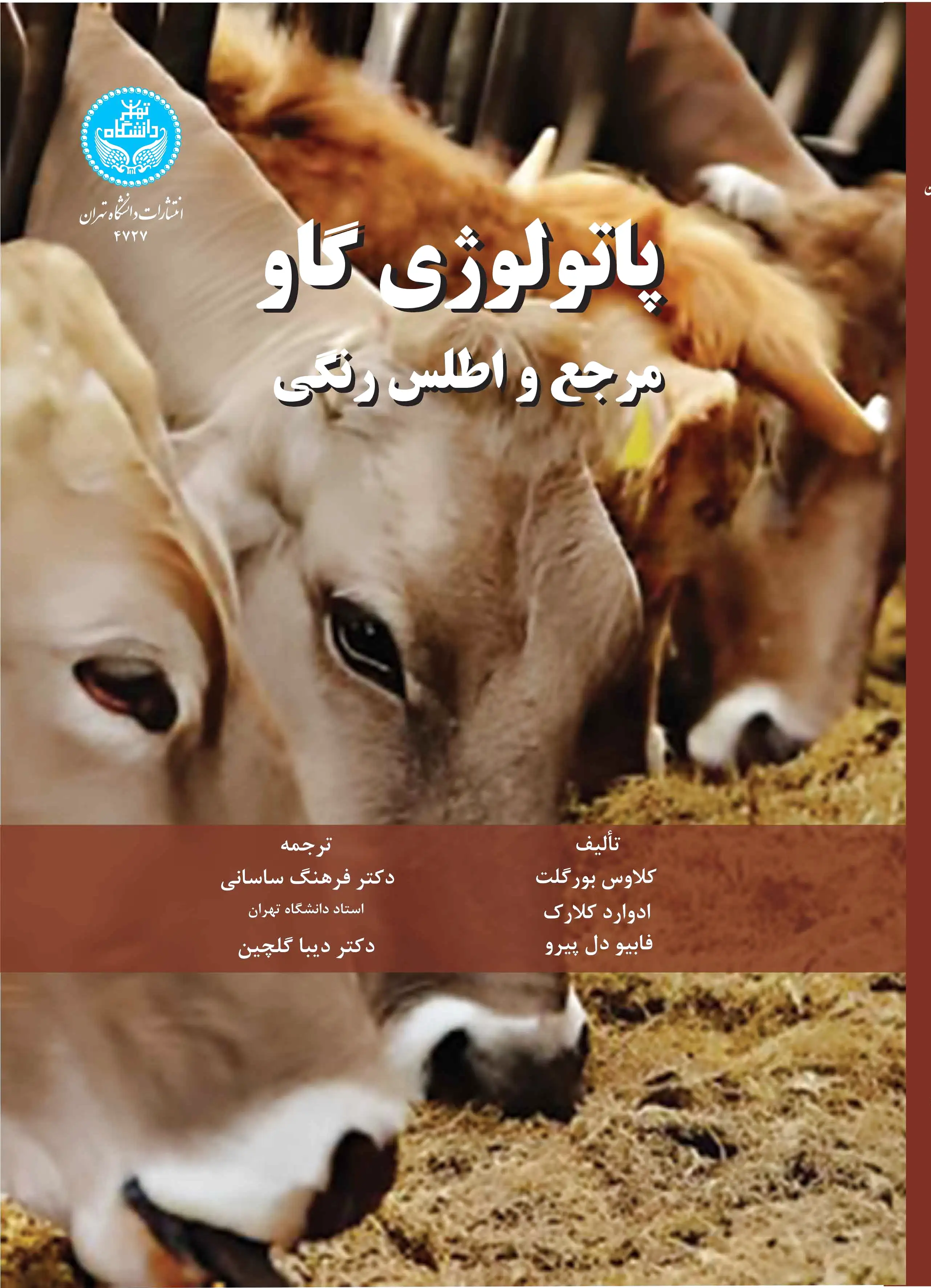 پاتولوژی گاو