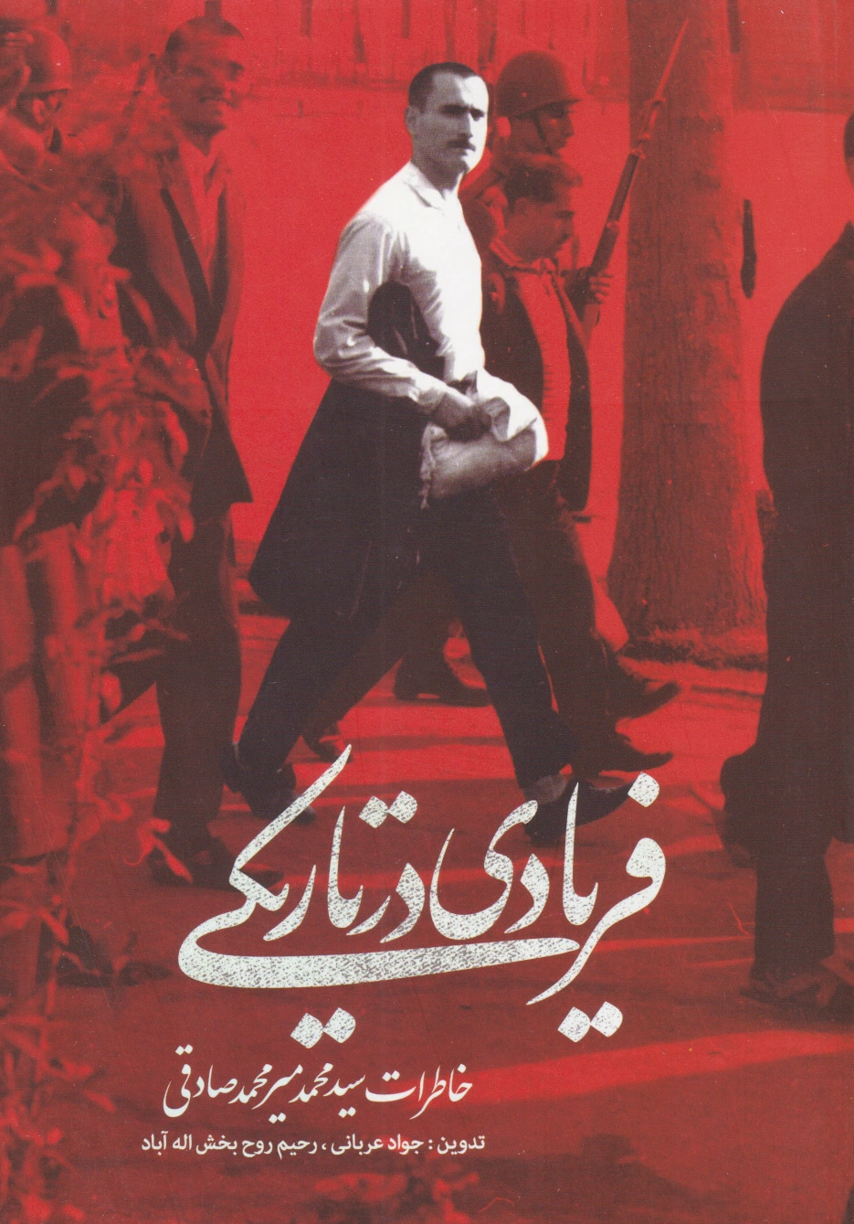 فریادی در تاریکی