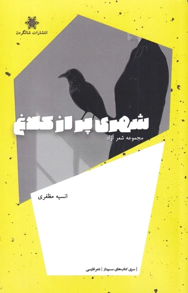 شهری پر از کلاغ