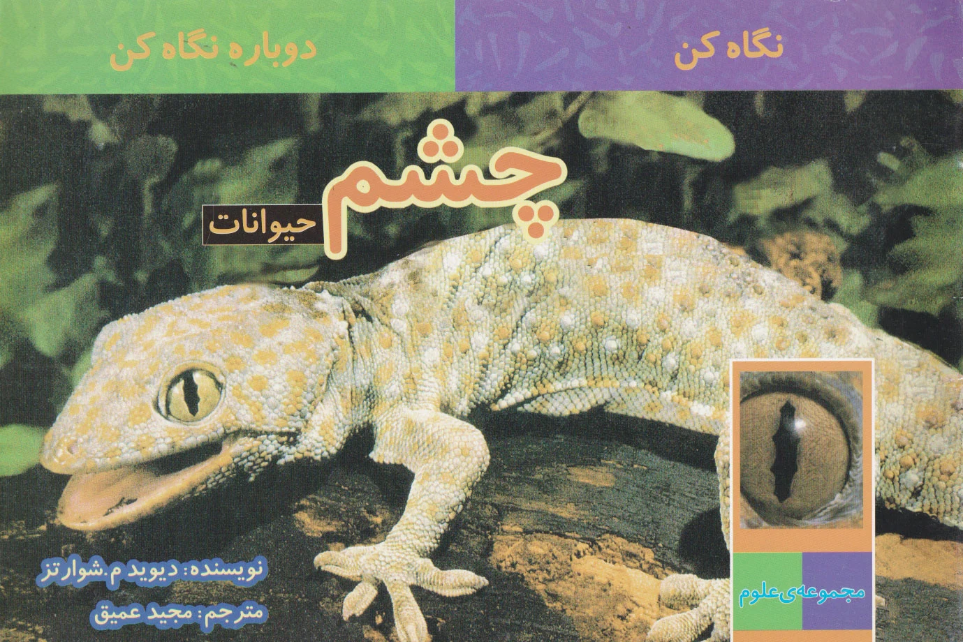 چشم حیوانات