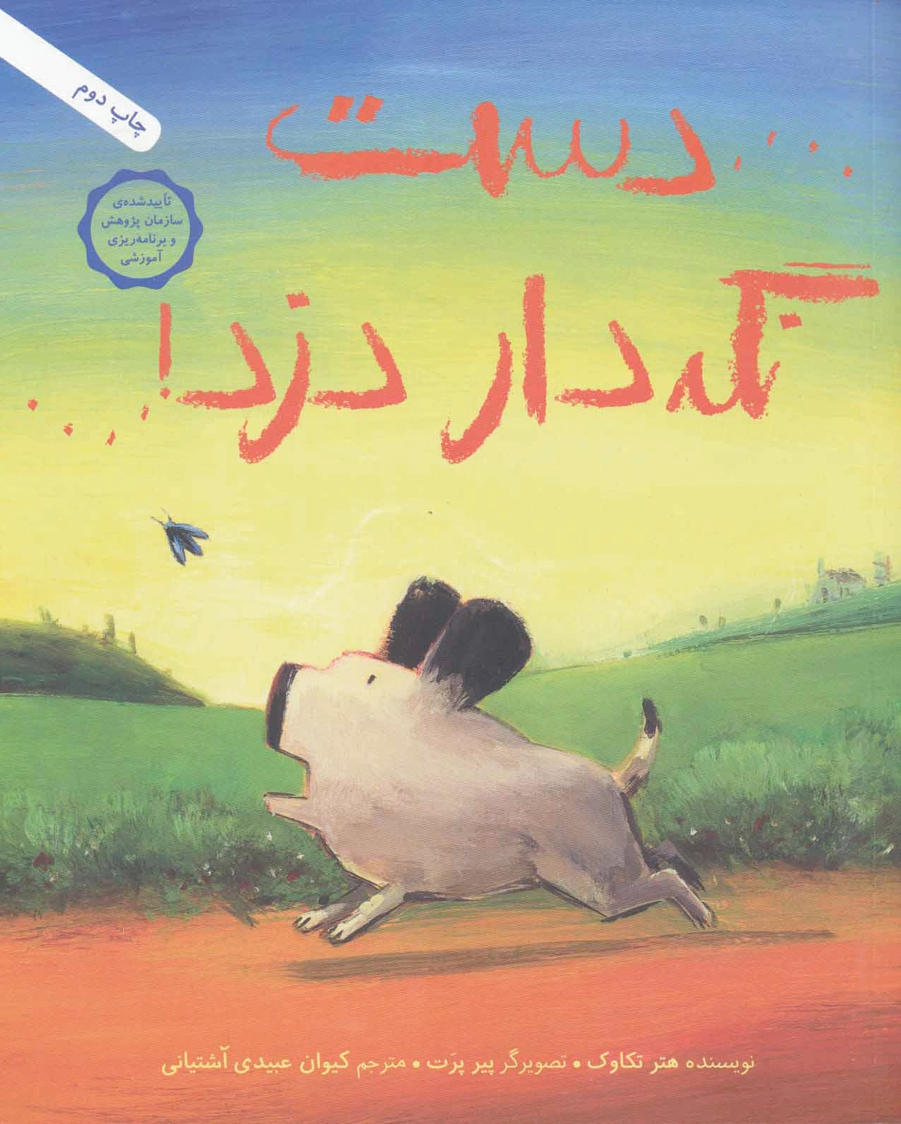 دست نگه دار دزد!