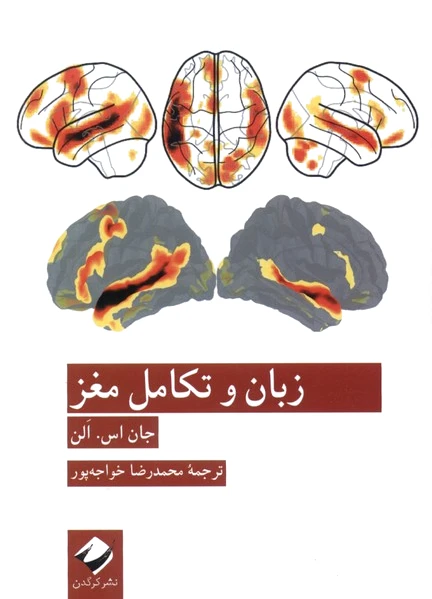 زبان و تکامل مغز