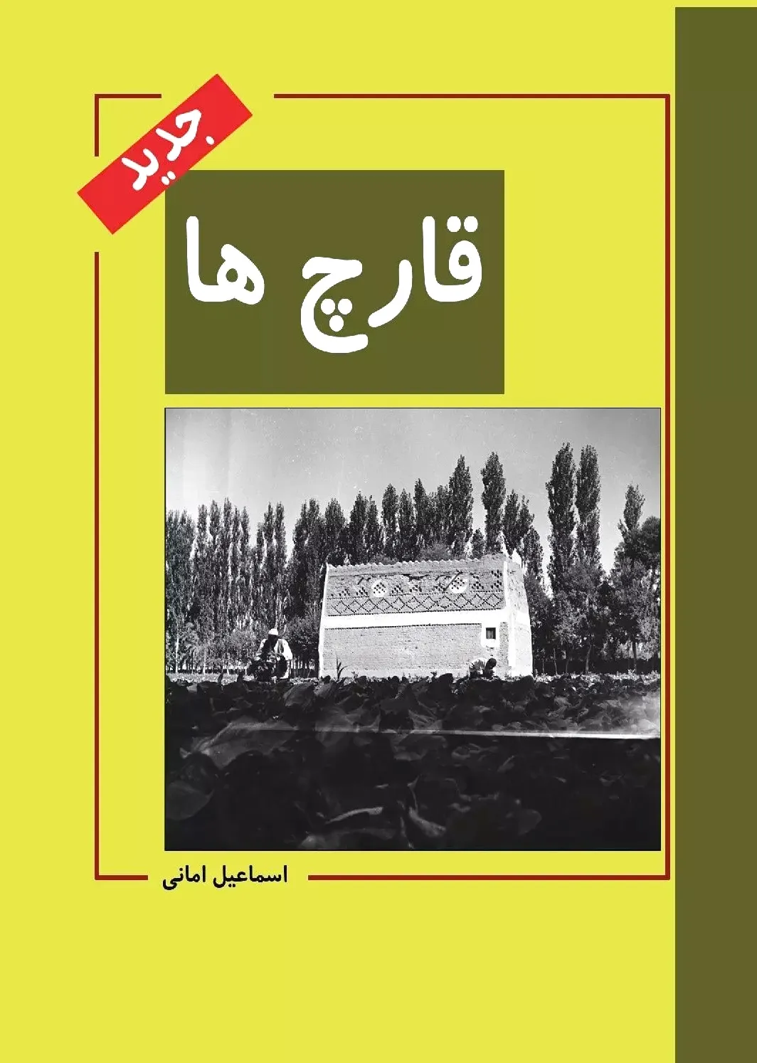 قارچ ها