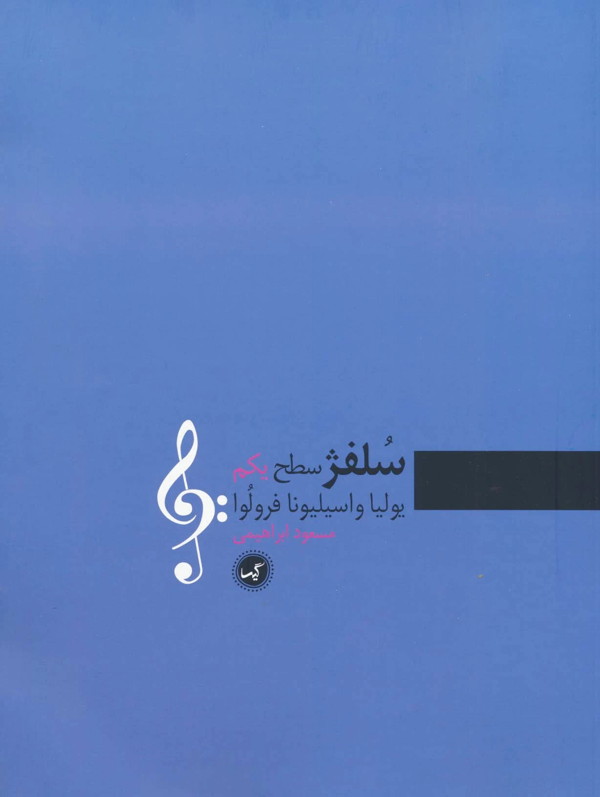 سلفژ سطح یکم