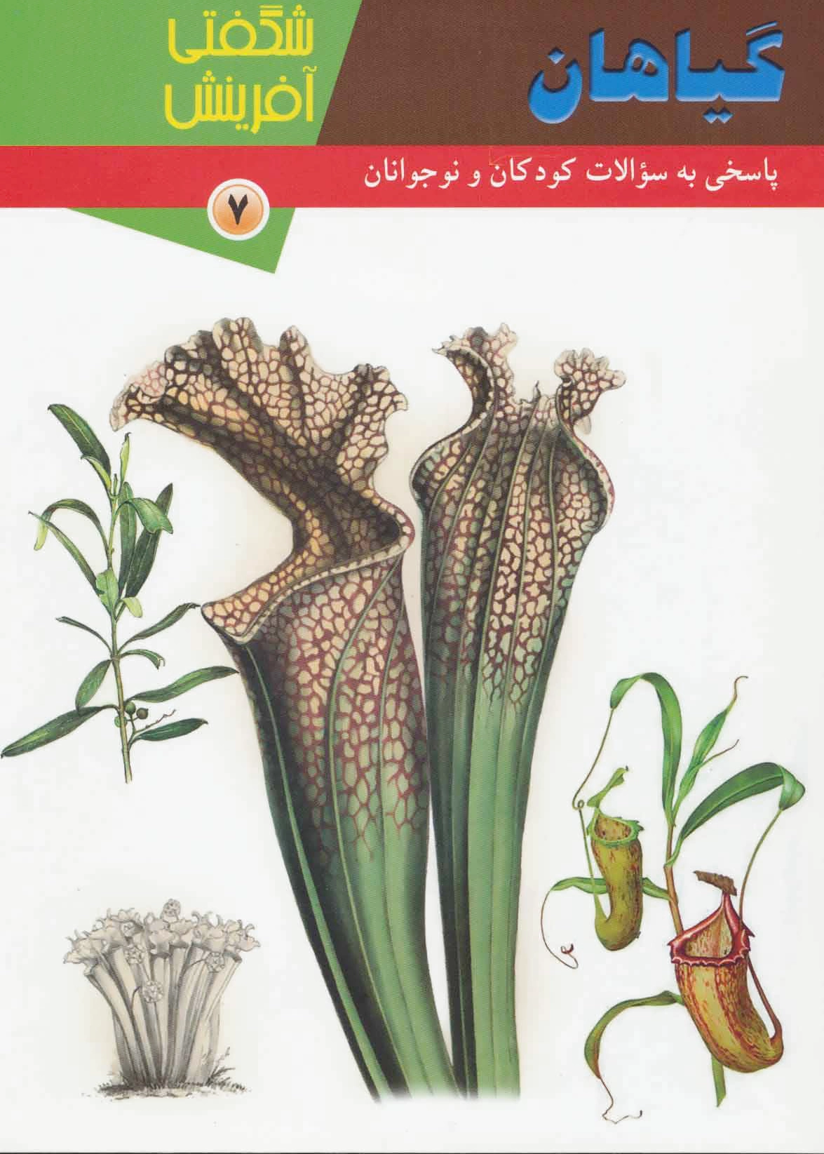 گیاهان
