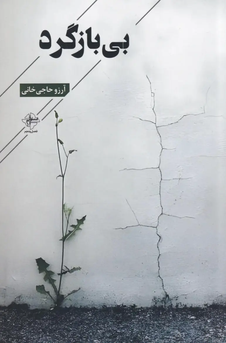 بی بازگرد