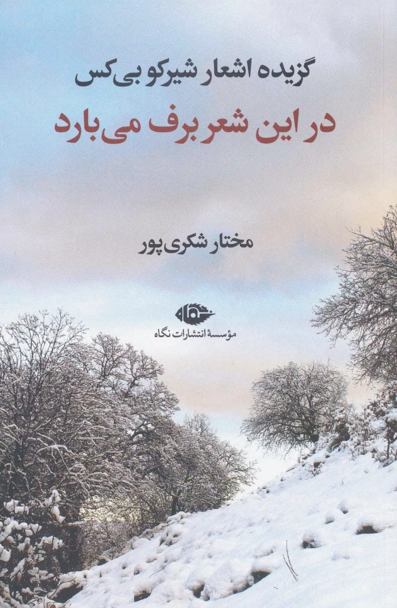 در این شعر برف می بارد