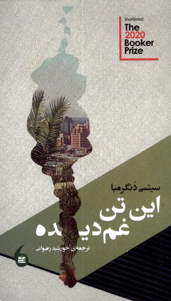 این تن غم دیده