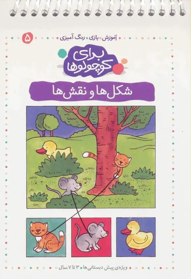 شکل ها و نقش ها