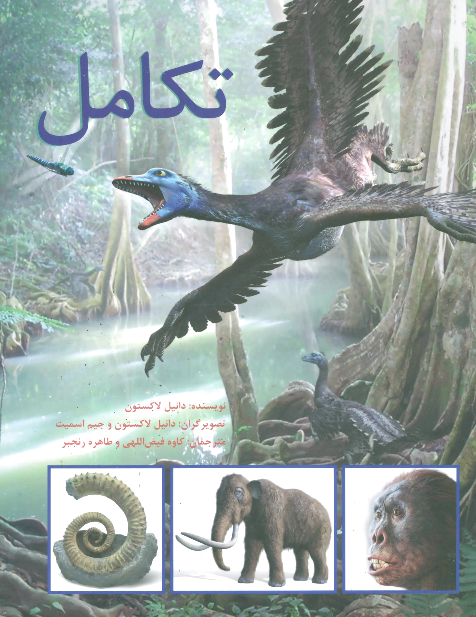 تکامل