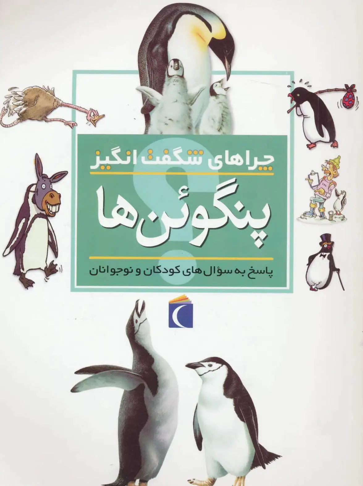 پنگوئن ها