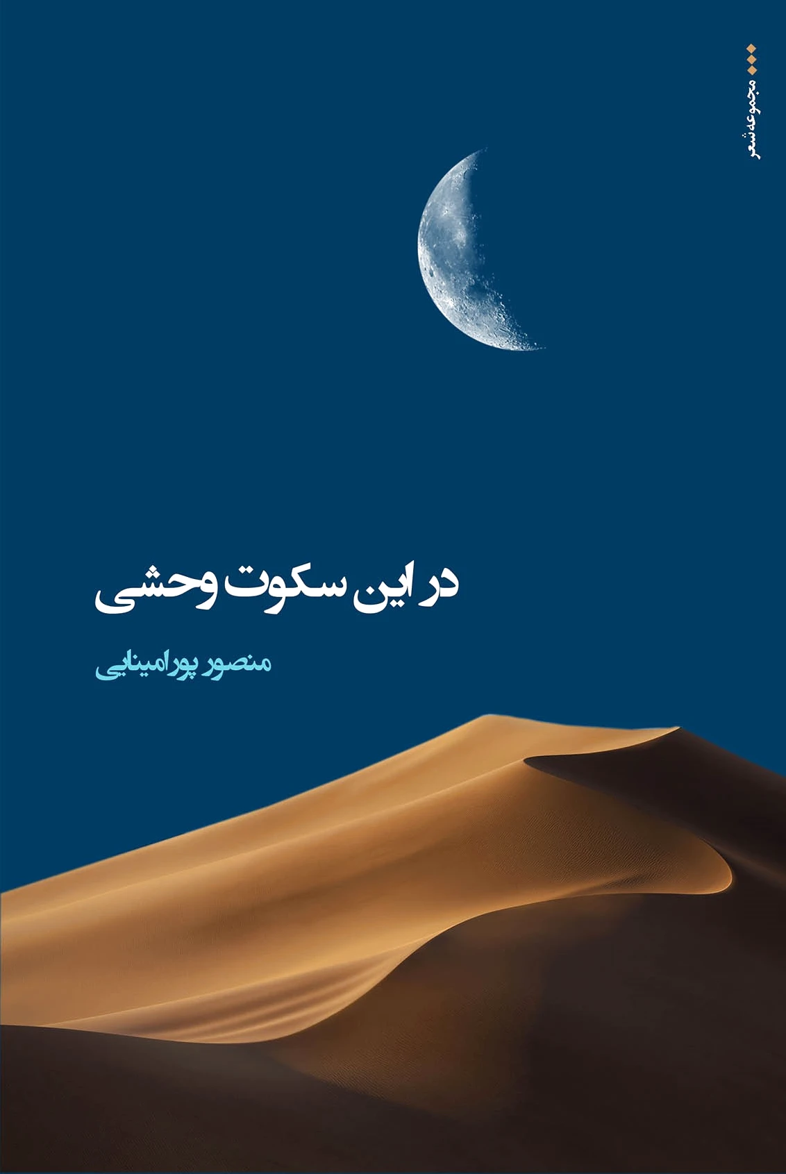 در این سکوت وحشی