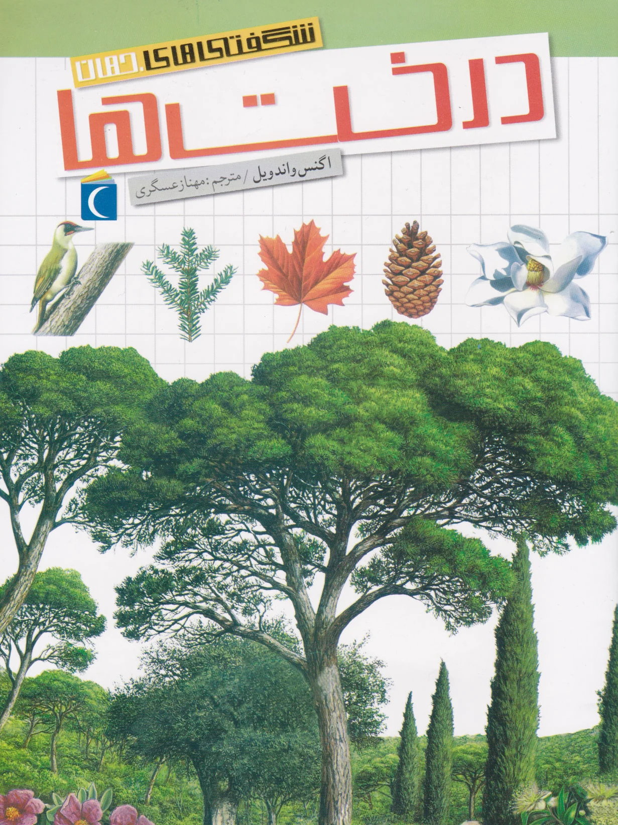 درخت ها