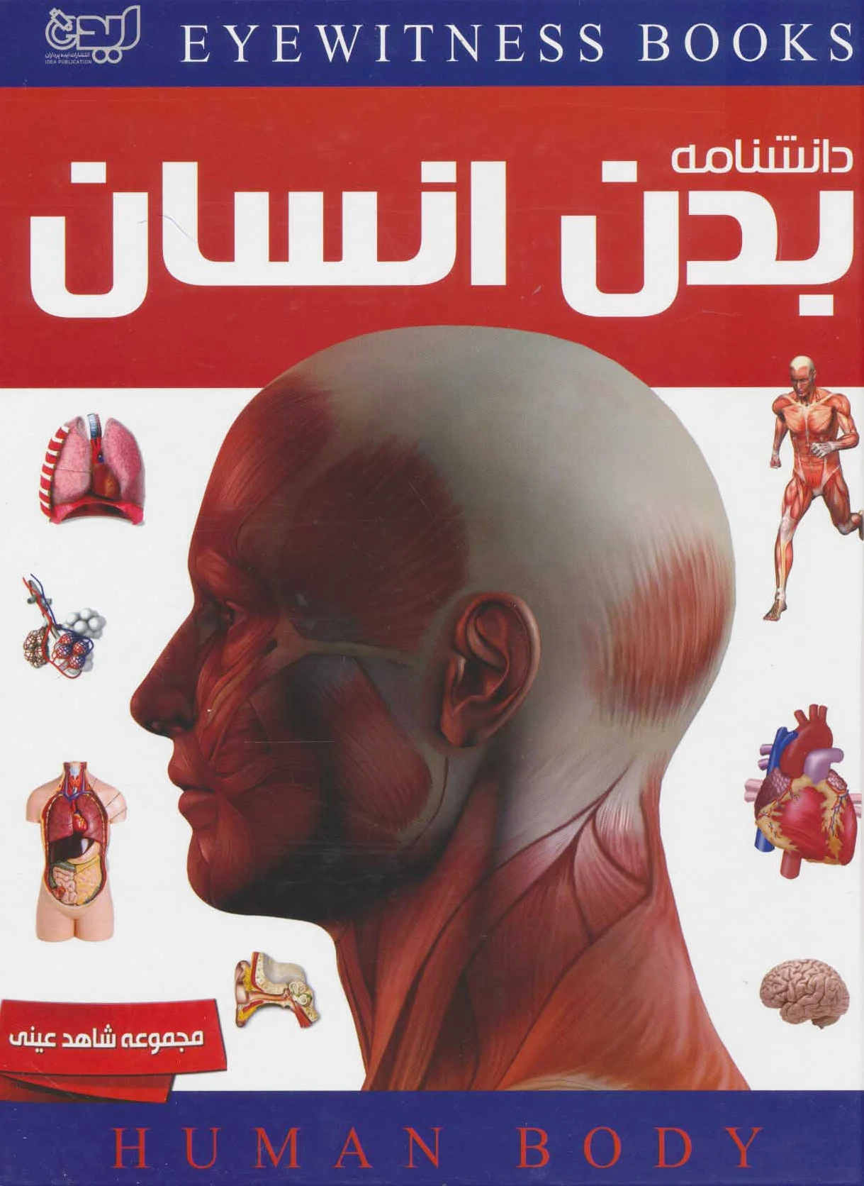دانشنامه بدن انسان