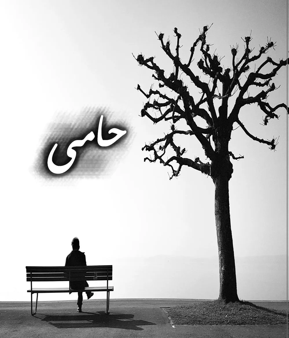 حامی