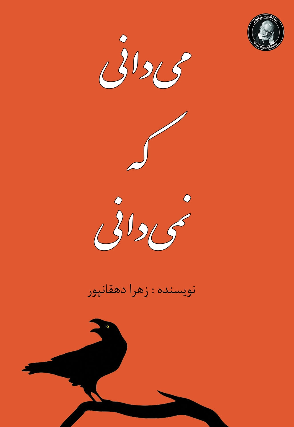 می دانی که نمی دانی