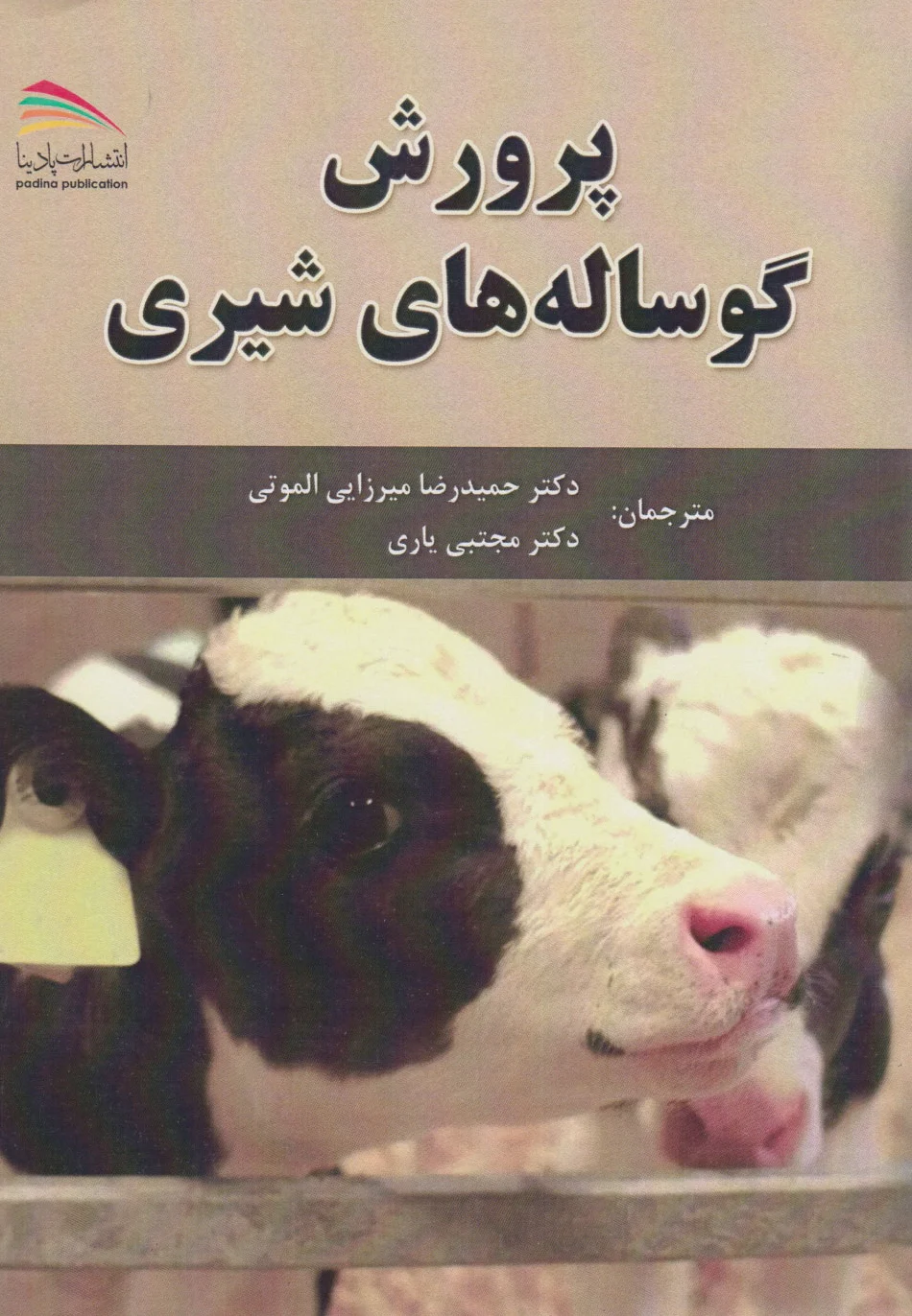 پرورش گوساله های شیری