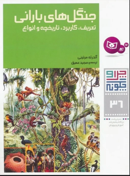 جنگل های بارانی