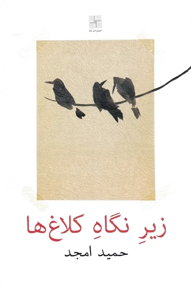 زیر نگاه کلاغ ها